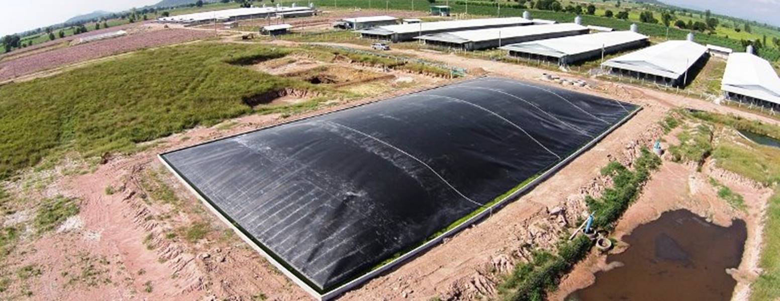 Hầm Biogas HDPE công nghiệp
