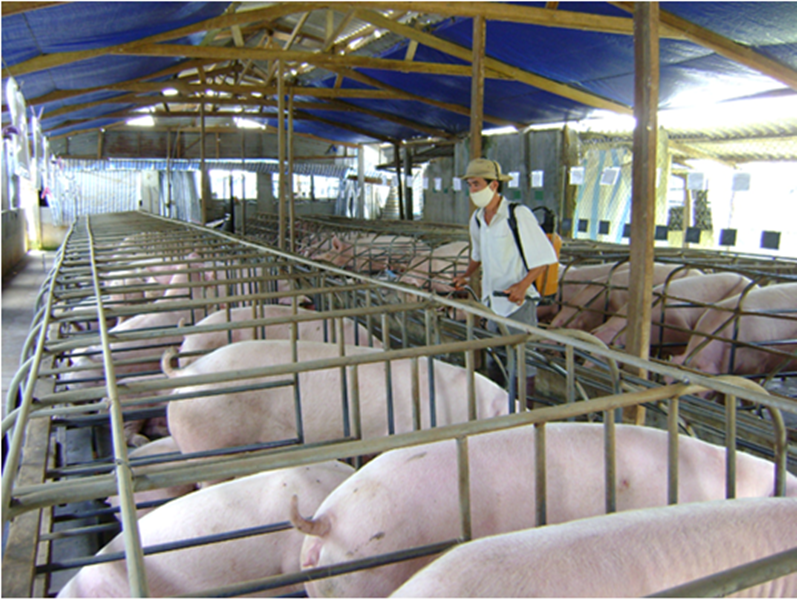 Các công nghệ xử lý nước thải chăn nuôi