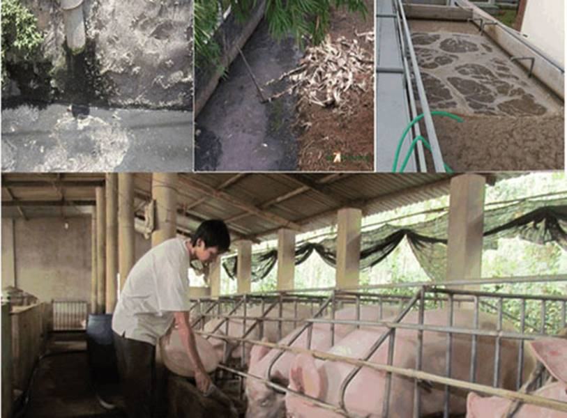 Lựa chọn công nghệ xử lý nước thải phù hợp