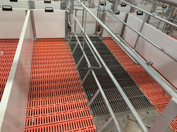 Đơn vị nào nhận thiết kế hệ thống xử lý nước thải chăn nuôi uy tín?
